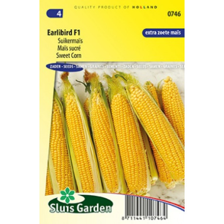 Earlibird F1 kukurica cukrová extra sladká 17 semien