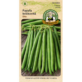 Dita fazuľa kríčkovitá stredne skorá 20g