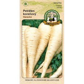 Hanácká petržlen koreňový neskorý na skladovanie 5..