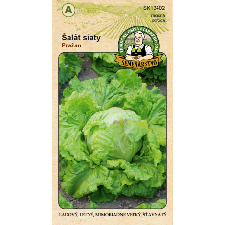 Pražan šalát letný ľadový 0.4g