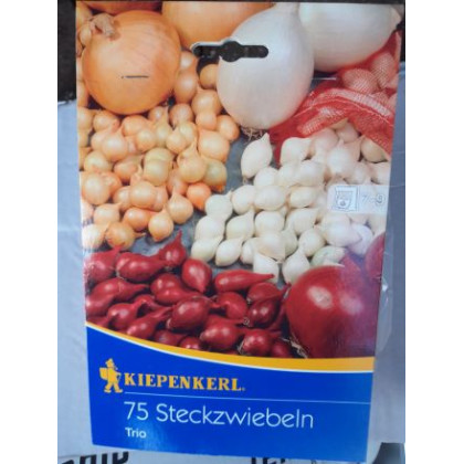 Trio cibuľa sadzačka žltá biela červená 75 ks