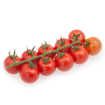 Brioso F1 paradajka kokteilová obľúbená sladká