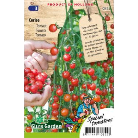 Cerise paradajka cherry kríková výnimočne sladká 55 semien