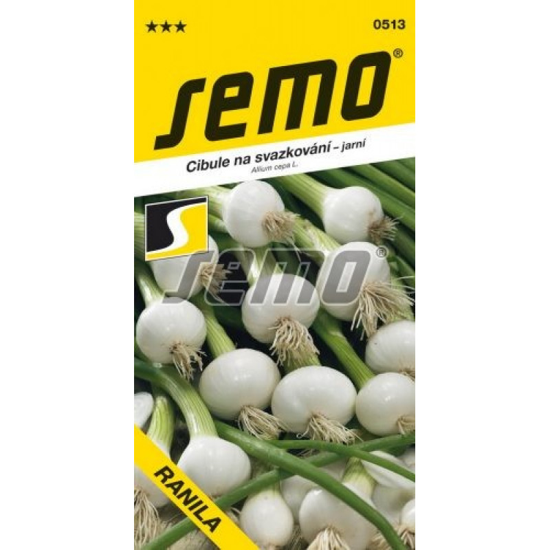 Ranila cibuľa zväzková biela veľmi skorá