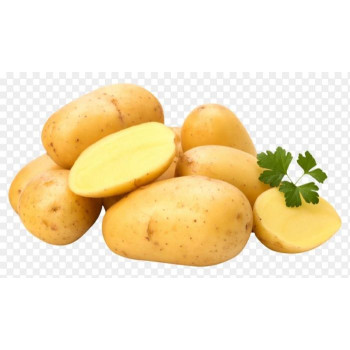 Colomba veľmi skoré sadbové zemiaky mini hľúzy 1kg