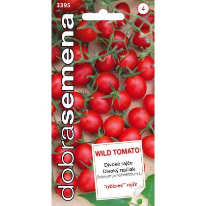 Wild Tomato divoká paradajka kolíková 40 semien