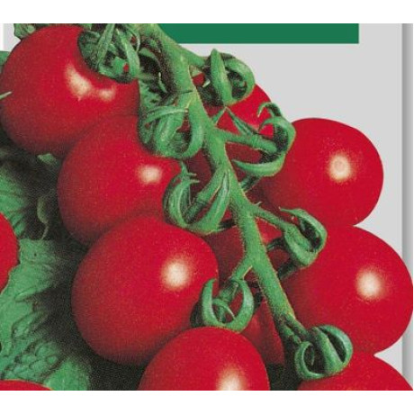 Principe Borghese paradajka cherry kolíková na sušenie 10 g
