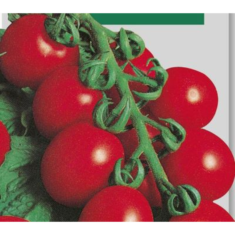 Principe Borghese paradajka cherry kolíková na sušenie 10 g