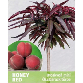 Honey Red broskyňa samoopelivá kontajner C4L zakrs..