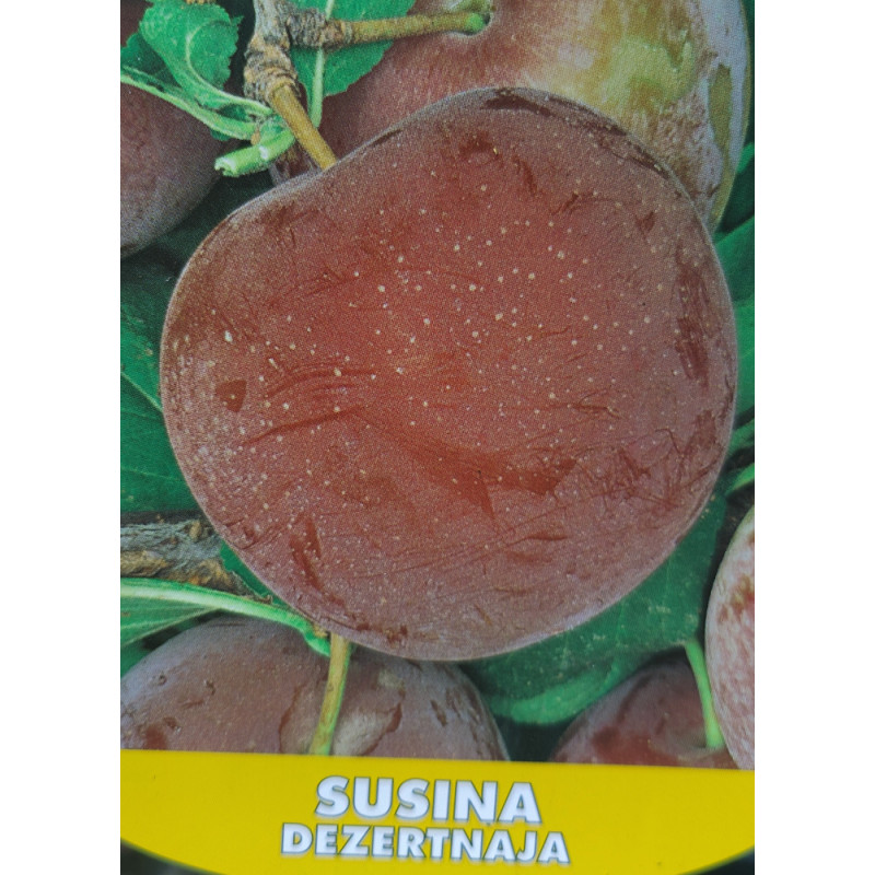 Susina Desertnaja slivka odolná kontajner C7,5L