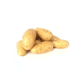 Annabelle zemiaky sadbové veľmi skoré pevné skoro ..