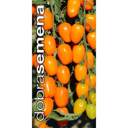 Appleberry Orange F1 rajčiak kolíkový sladučký výnosný odolný 6 semien