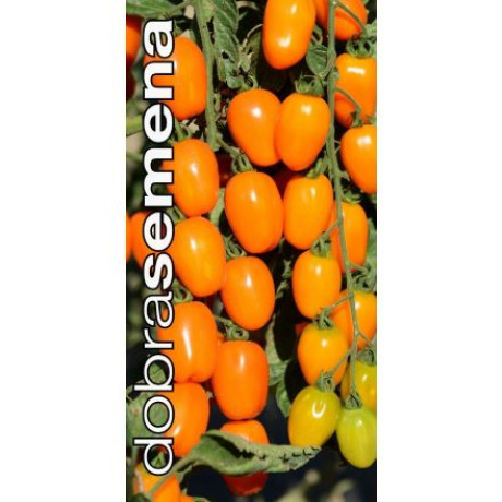 Appleberry Orange F1 rajčiak kolíkový sladučký výnosný odolný 6 semien