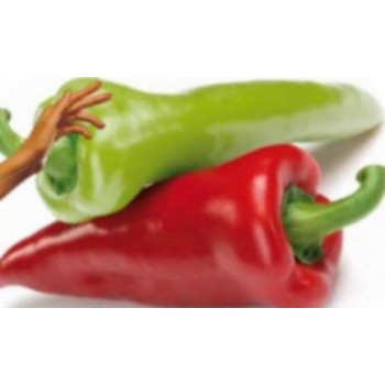 Ariadni paprika kápia skorá sladká skladovateľná rýchlenie von 100 semien