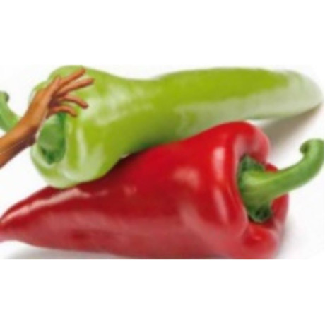 Ariadni paprika kápia skorá sladká skladovateľná rýchlenie von 100 semien