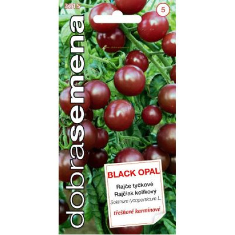 Black Opal rajčiak kolíkový sladučký výnosný odolný 10 semien