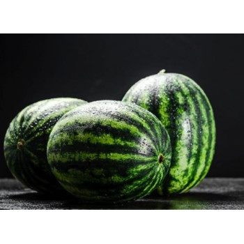 Burebista F1 melón vodový skorý odolný stresu vrúbľovaný 1ks