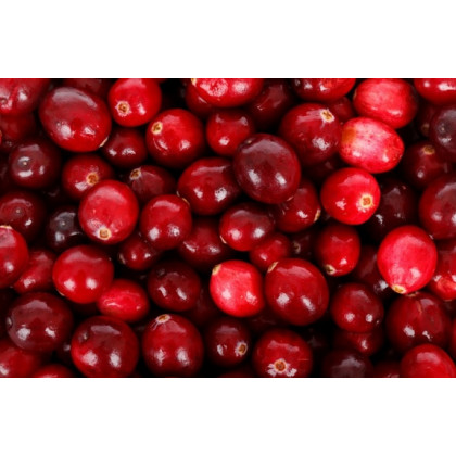 Cranberry kľukva močiarna ovocie