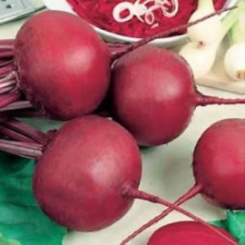 Detroit Nero cvikla guľatá výnosná profi 100 g