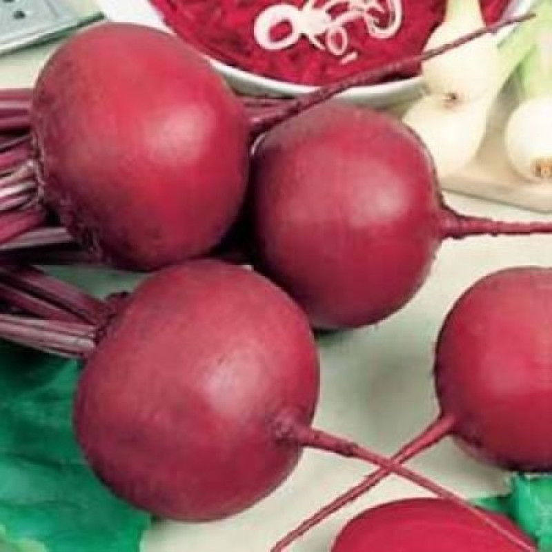 Detroit Nero cvikla guľatá výnosná profi 100 g