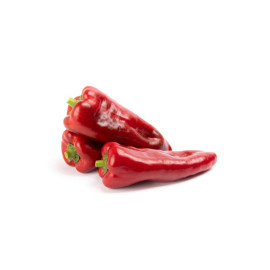 Dinamica F1 Paprika sladká červená kapia odolná st..