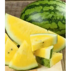 Honney F1 melón vodový žltý sladký veľmi skorý vrú..