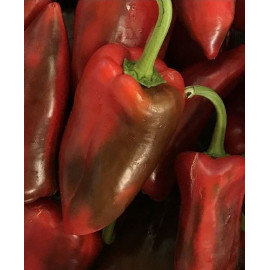 Kaprima F1 paprika kápia sladká veľká kvalitná 100..
