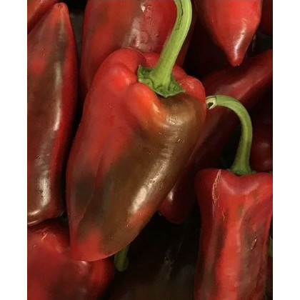 Kaprima F1 paprika kápia sladká veľká kvalitná 100 semien