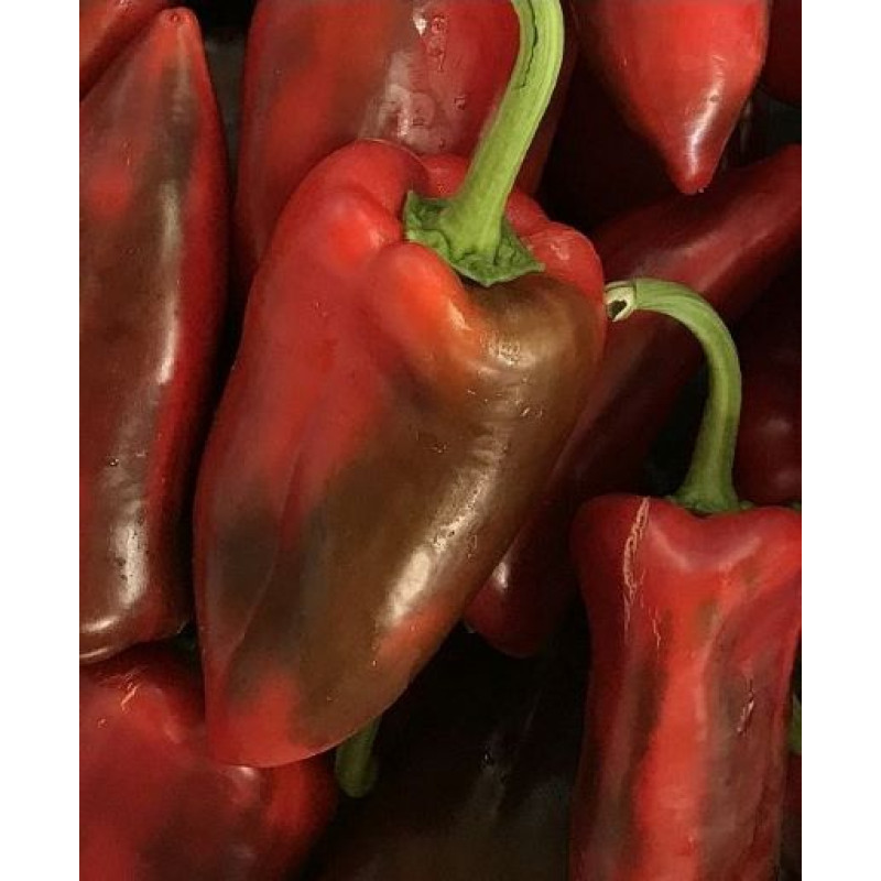 Kaprima F1 paprika kápia sladká veľká kvalitná 100 semien