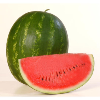 Karistan F1 dyňa melón červený neskorý vynikajúci 100 semien