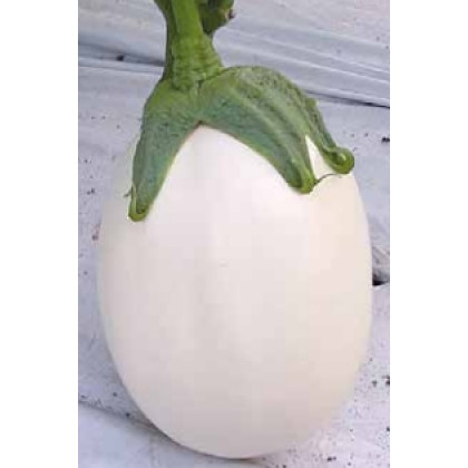 Luna F1 baklažán brilantne biely silný úrodný 100 semien