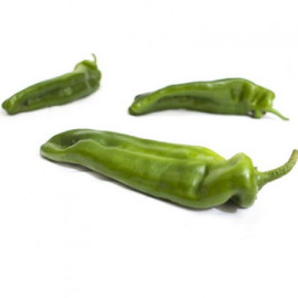 Massouda F1 Paprika Dulce Italiano sladká vynikajú..