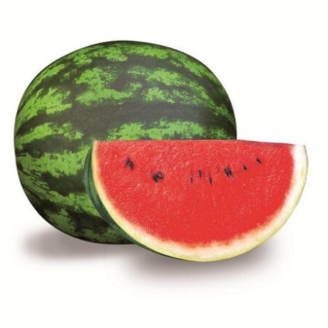 Oneida F1 melón vodový skorý výborný malé zrnká 100 semien