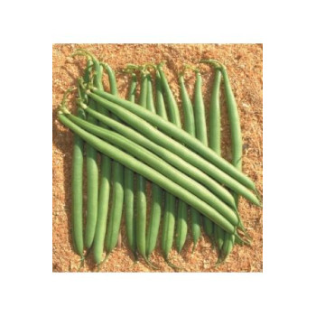 Paulista fazuľa kríčková lúsková zelená bez vlákien 1 kg