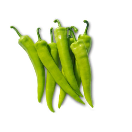 Rapires paprika štipľavá kozí roh odolná nedostatku svetla 0,5 g