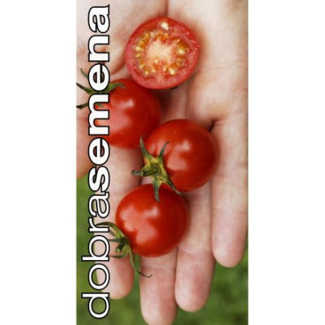 Resi paradajka kolíková cherry vysoko odolná výnimočnej chuti 10 semien