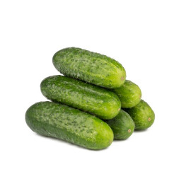 Rubato F1 uhorka nakladačka hruboostná partenokarp..