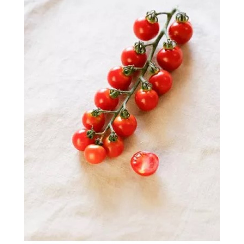 Solena Sweet Passion F1 paradajka kolíková cherry výnimočná sladkám chuť rezistentná vrúbľovaná 1ks