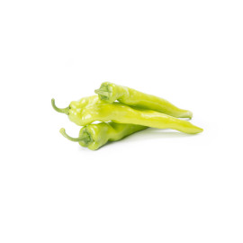 Storm F1 Paprika štipľavá typ Charleston znáša hor..