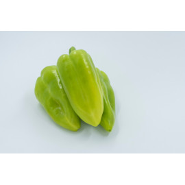 Topgear F1 paprika sladká skorá stabilná výnosná b..