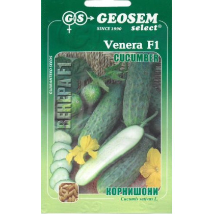 Venera F1 uhorky nakladačky cornichon jemnobradavičnaté 25 semien