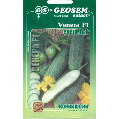 Venera F1 uhorky nakladačky cornichon jemnobradavičnaté 25 semien