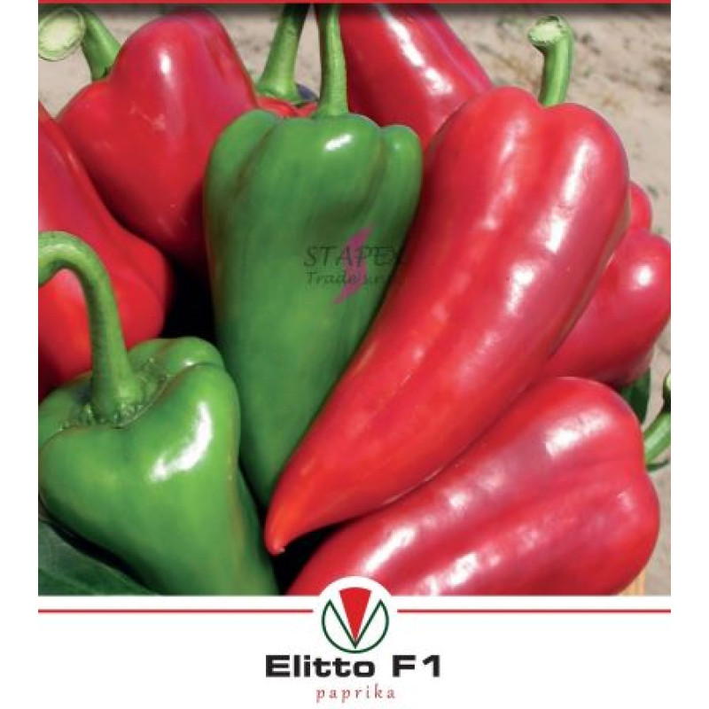 Elitto F1 kapia Paprika sladká 0,3 g