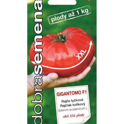 Gigantomo F1 gigantické plody kolíková paradajka 10 semien