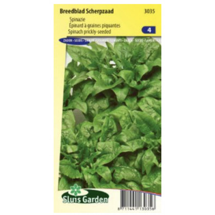 Breedblad špenát skorý jarný / neskorý jesenný 100 g