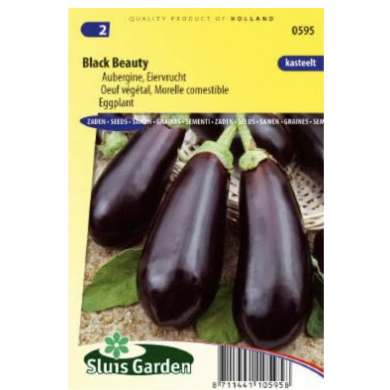 Black Beauty baklažán 135 semien