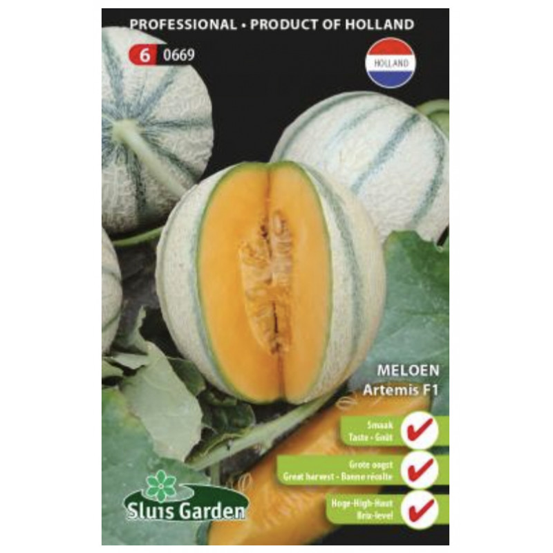 Artemis melon cukrovy rezistentny 8 semien