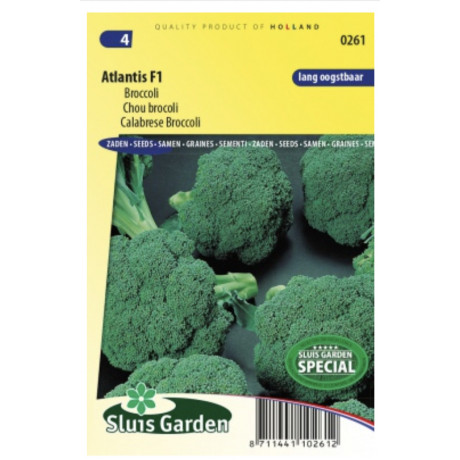 Atlantis F1 brokolica 85 semien
