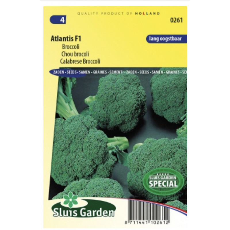 Atlantis F1 brokolica 85 semien