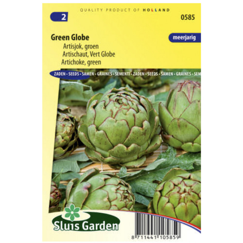 Green Globe artičoka 23 semien 